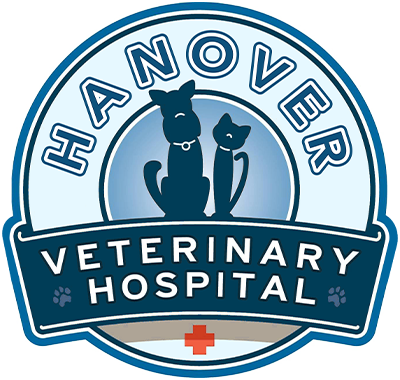 Hanover + Barkenpurr Veterinary Hospital